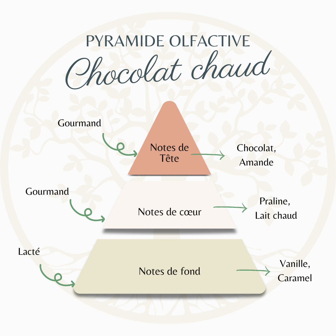 Pyramide olfactive chocolat chaud