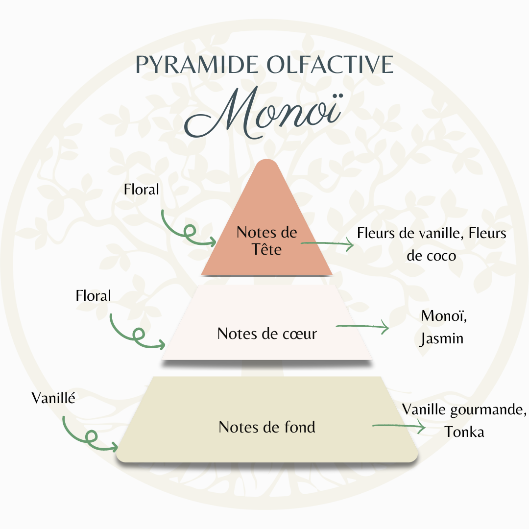 Pyramide olfactive monoï