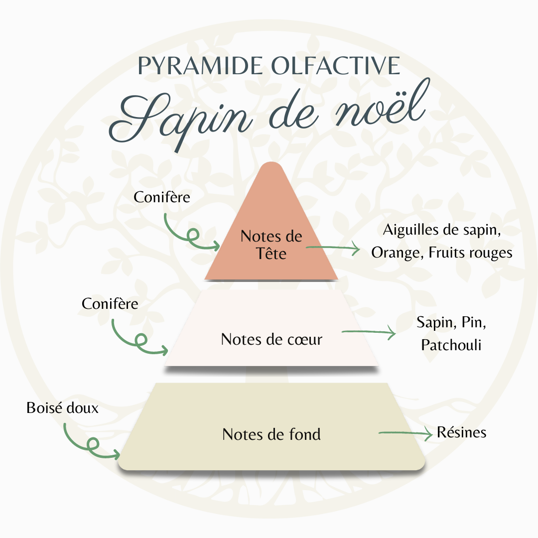 Pyramide olfactive sapin de noël