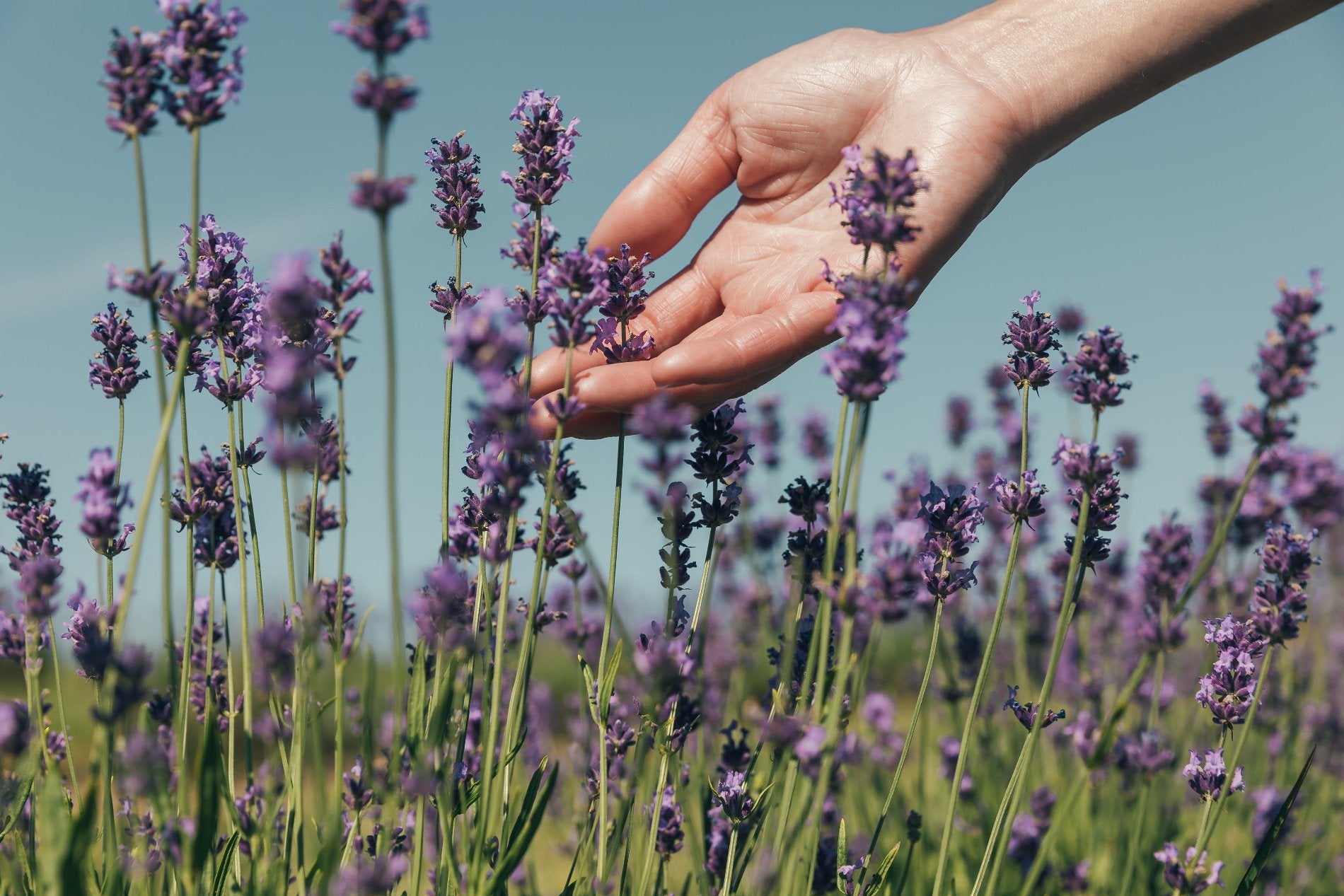 Des produits de qualité