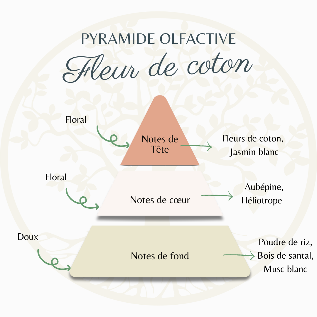 pyramide olfactive fleur de coton