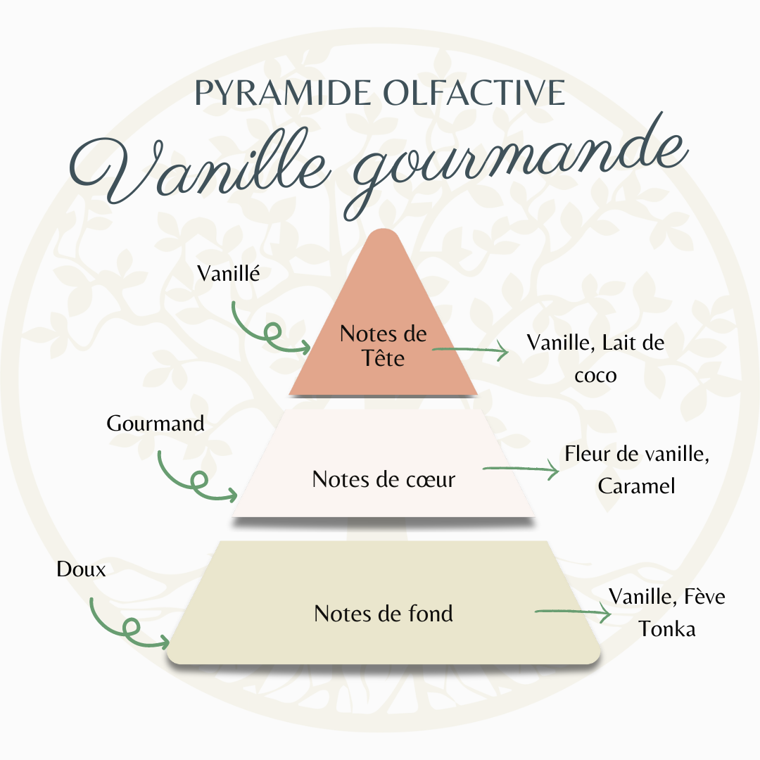 pyramide olfactive vanille gourmande